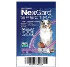 NexGard Spectra
