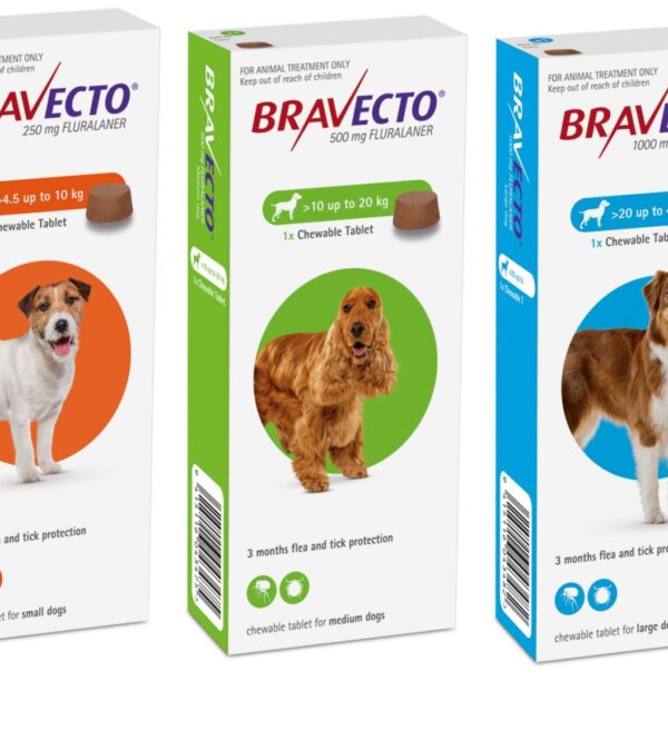 Bravecto Antiparasitario