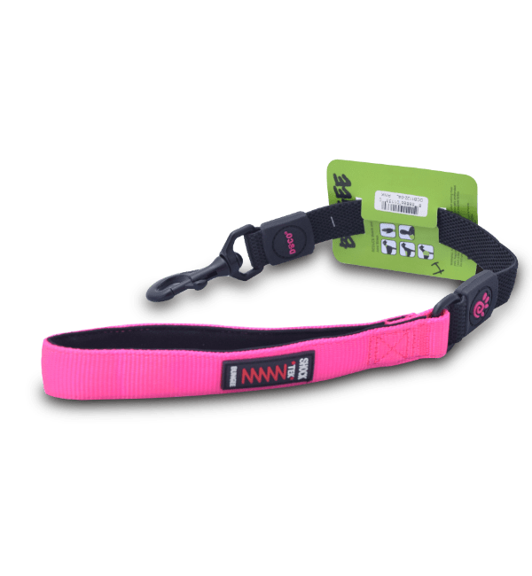 Correa de Nylon para Perros