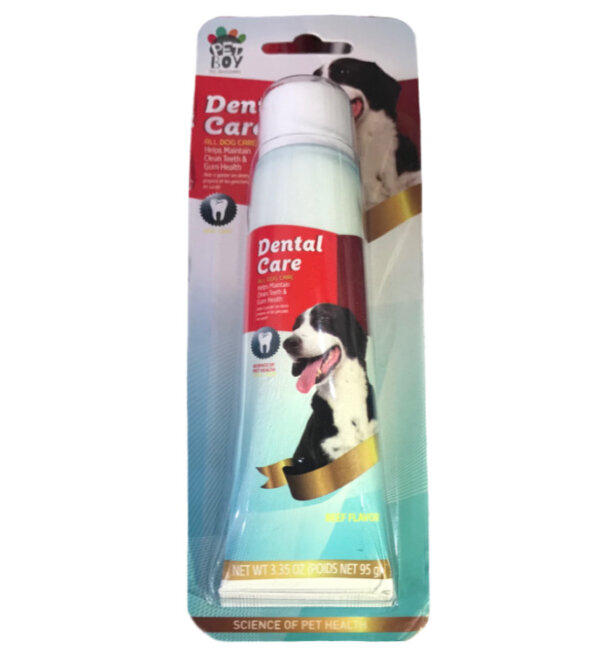 Dental Care pasta dental