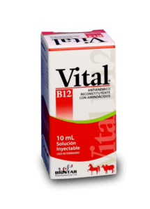 Vital B12 10 Ml - Zoolandia