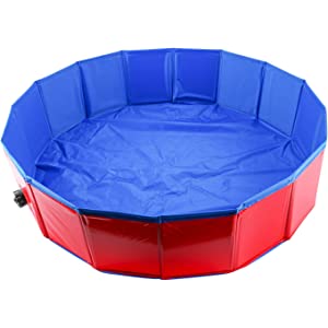 Piscina para Mascotas 80X20 cm