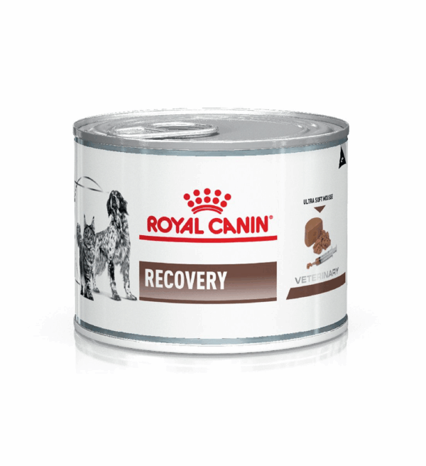 Royal Canin Recovery 195gr