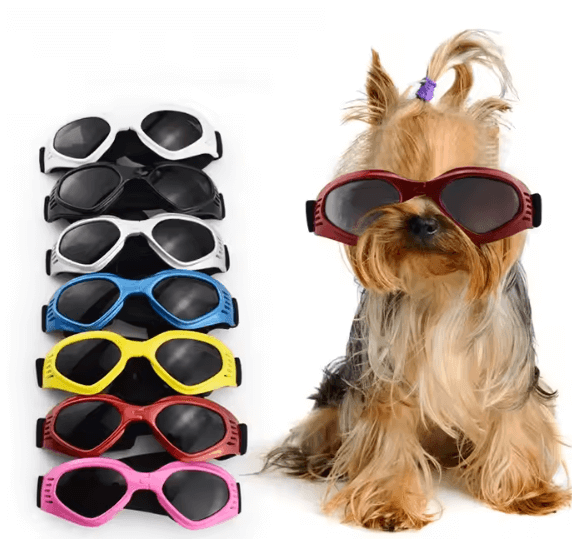 LENTES PLEGABLES CORAZÓN