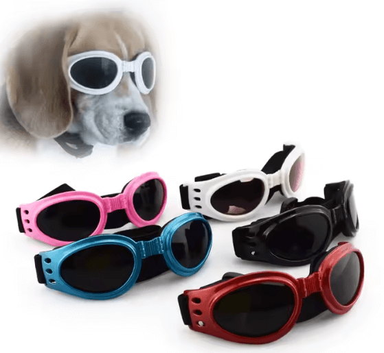 LENTES PLEGABLES OVALADOS